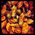 VicentaLents (@vicentalents) Twitter profile photo