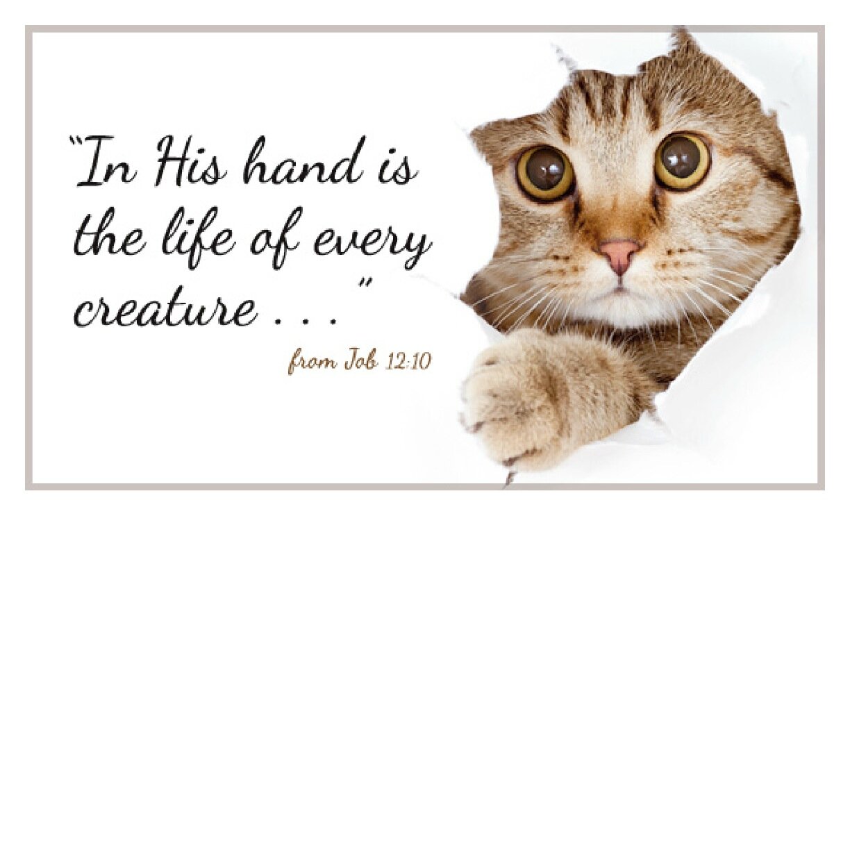 ktsfaith's profile picture. 