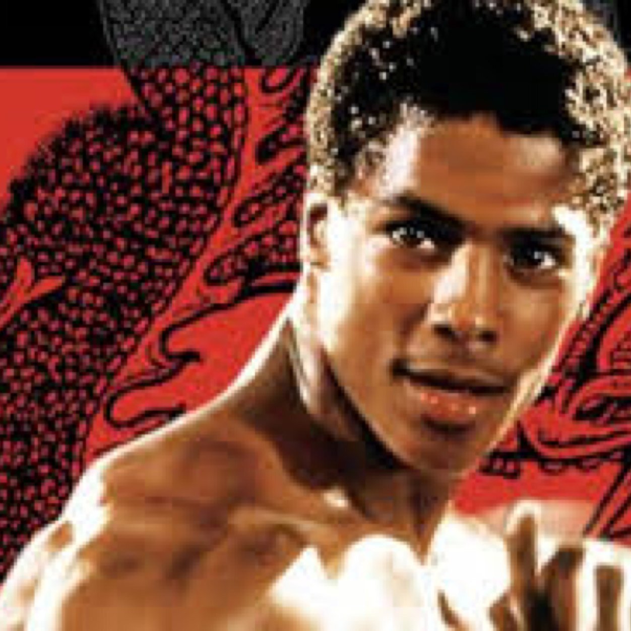 Pictures of bruce leroy