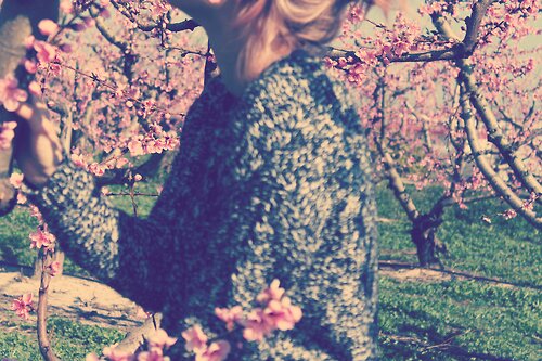 FloScripture's profile picture. 