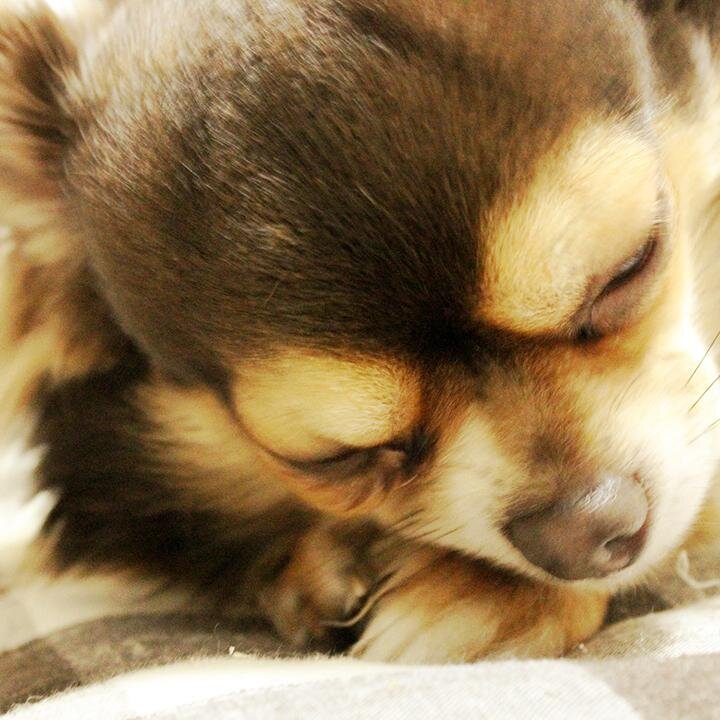 DM返事しません。