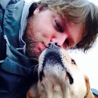 Kevin Moss (@mossnivek) 's Twitter Profile