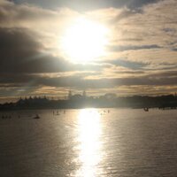 Darren Toyne (@djat01) 's Twitter Profile