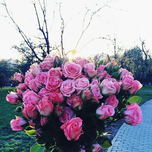 لا إله إلا الله ♥