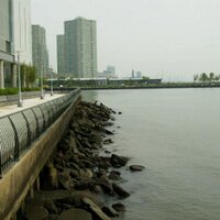 TheCuriousNetizen (@netizen_ptr) 's Twitter Profile Photo