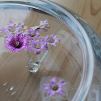 スタジオ浮世 (@studioukiyo) Twitter profile photo