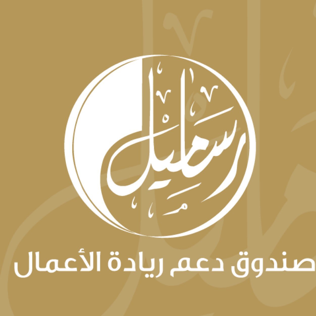 صندوق رساميل، أحد برامج دار الإنماء الاجتماعي في مجال دعم ريادة الأعمال، تأسس صندوق رساميل في عام ٢٠٠٣ كآلية مهمة لدعم رواد الأعمال القطريين من الجنسين.
