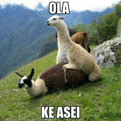 SUSCRIBIROS AL CANAL DE MI COLEGAA!!!