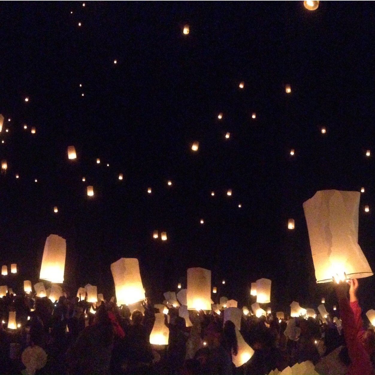 caro_pet's profile picture. 