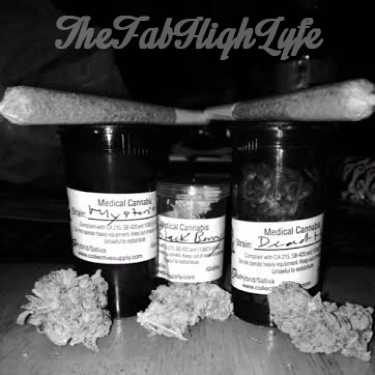 couple of friends sharing our fab high lyfe with you