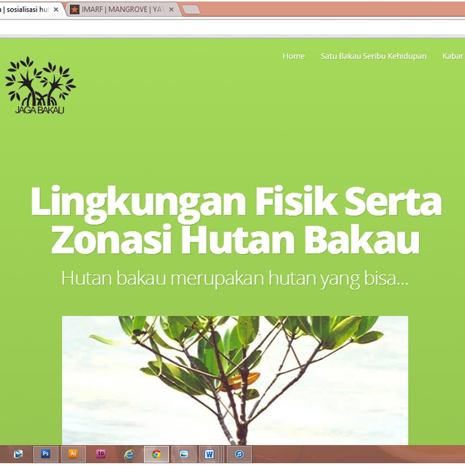 hutan bakau adalah bagian dari penyeimbang bumi, sebagai penghisap karbon (CO). #SaveEarthSaveMangrove