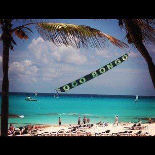 KeishaVillarta's profile picture. 22/music fiend/ tv show stan and crier over/obsessive blabber and ranter