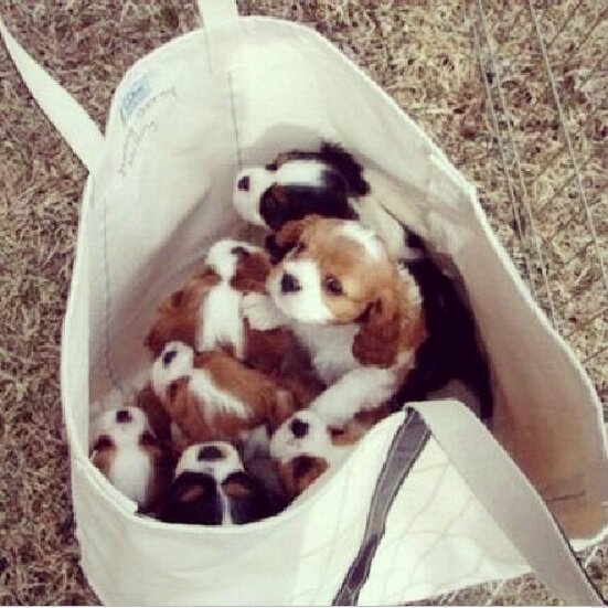 DeboraKastl's profile picture. I am a single woman who loves sports, music, and movies.