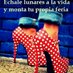 Feria de Jedula (@casetaerpuntito) Twitter profile photo
