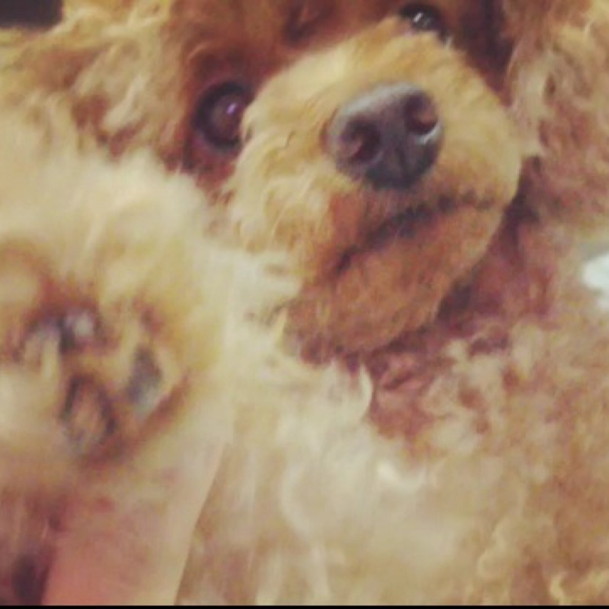 say hello^^★