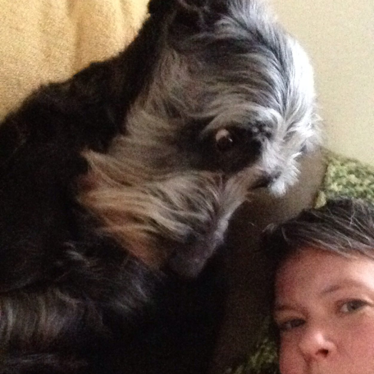 pbnam1123's profile picture. 