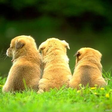 harunisaku1's profile picture. 超初心者です、よろしく。