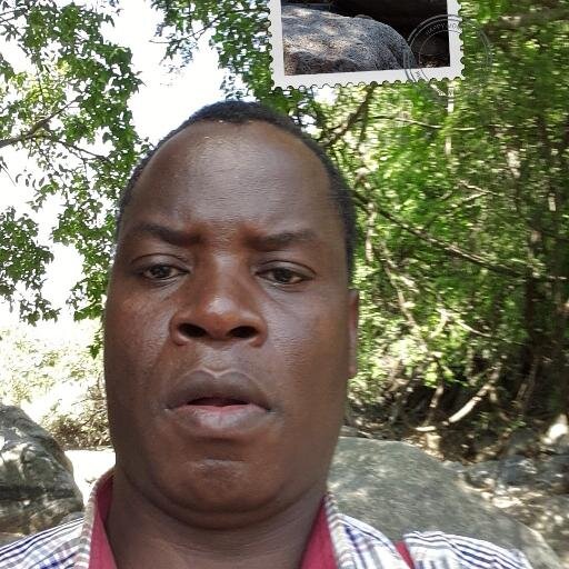 cchiocha's profile picture. Acting Dean Faculty of Built Enviromnt
POLYTECHNIC - UNIMA