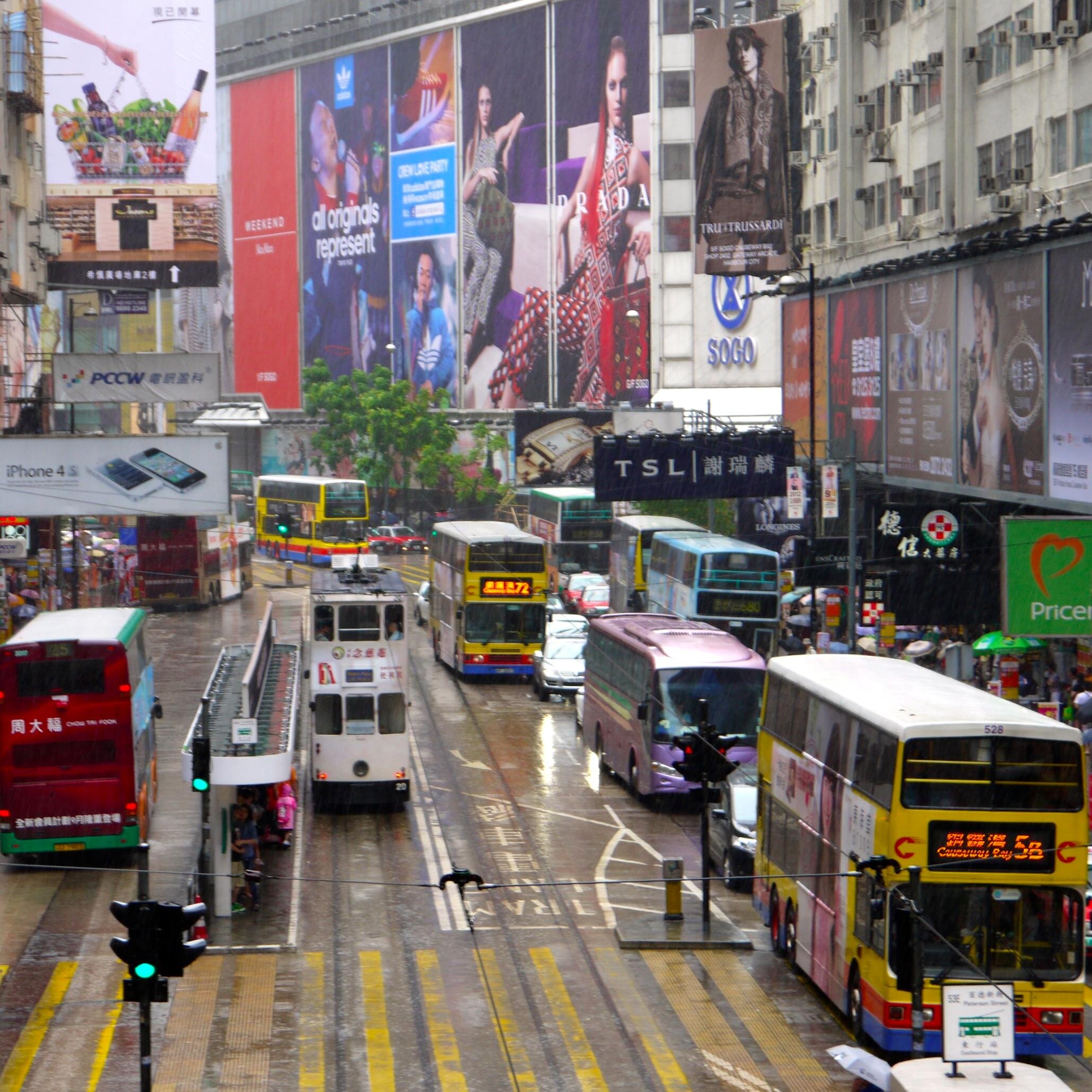 yanumv's profile picture. Musings of the carefree