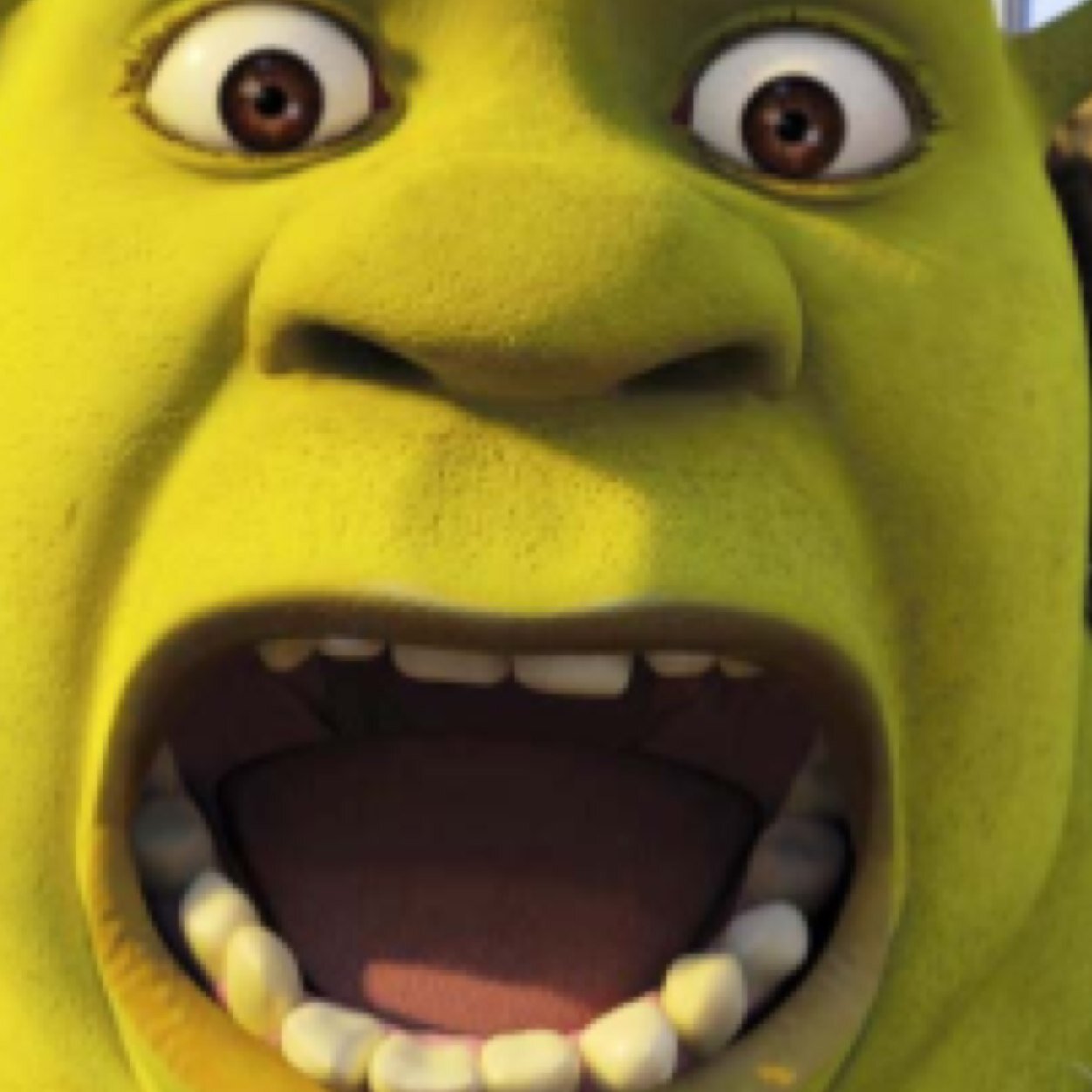 THIS IS MY SWAMP