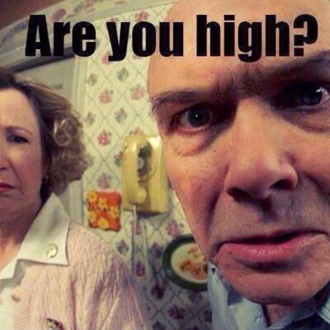 iBrushfire's profile picture. My Aim - To ensure reggae music outlives us all....