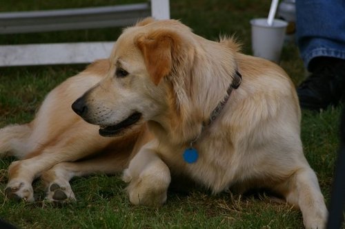 Java_Bartle's profile picture. Retired Aidworker. Founder: Community Empowerment.