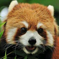 강중약 (@dynamics_p) 's Twitter Profile