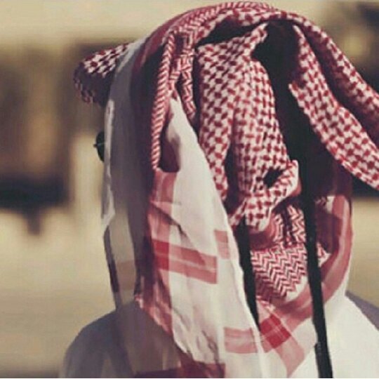 STAlshammari's profile picture. 