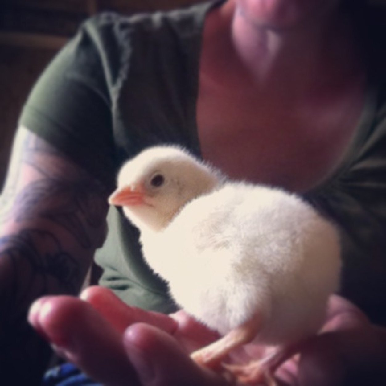 Transitioning from small business owner to farmer. Mother, wife, biology nerd, ambitious & naive.