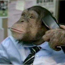 webjs's profile picture. 