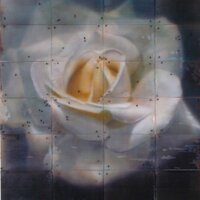 mark karasick (@markkarasick) 's Twitter Profile