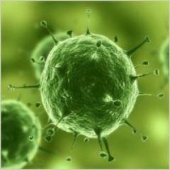 ehamps's profile picture. I occasionally wear pants. (Not now.)