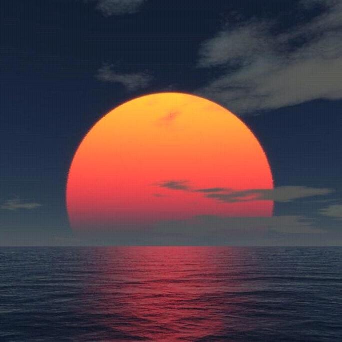 _MindFeed's profile picture. 