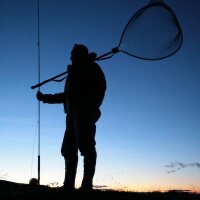 Frontiers Ltd (@frontiersltd) 's Twitter Profile