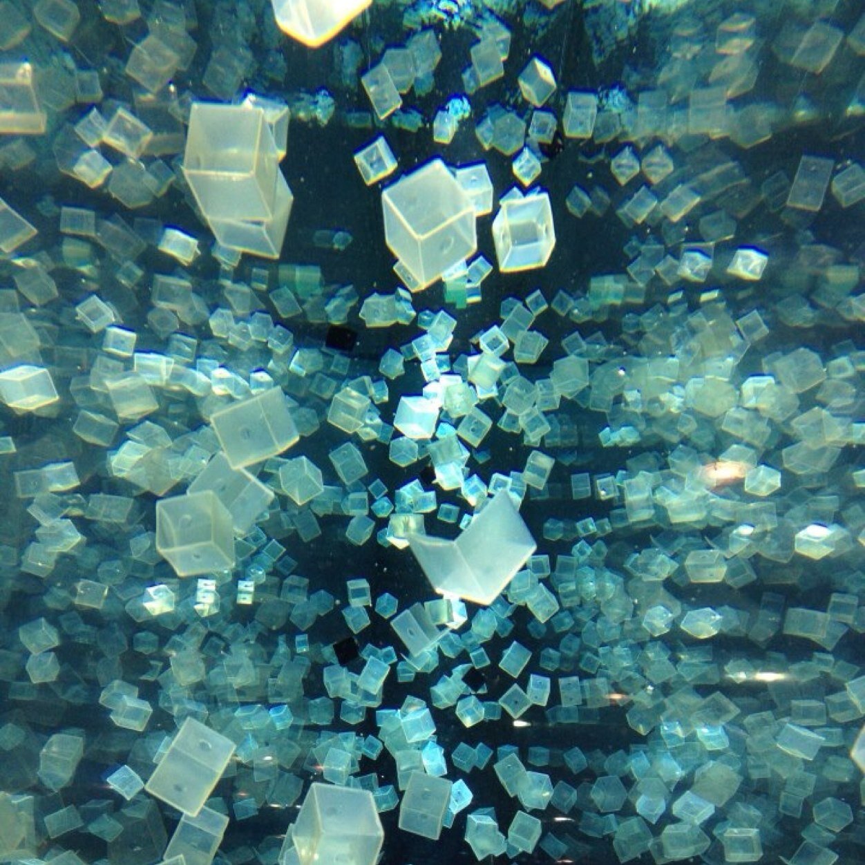 TristaLee14's profile picture. 