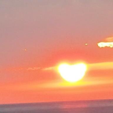 南の小さな島、沖縄からTwittet。