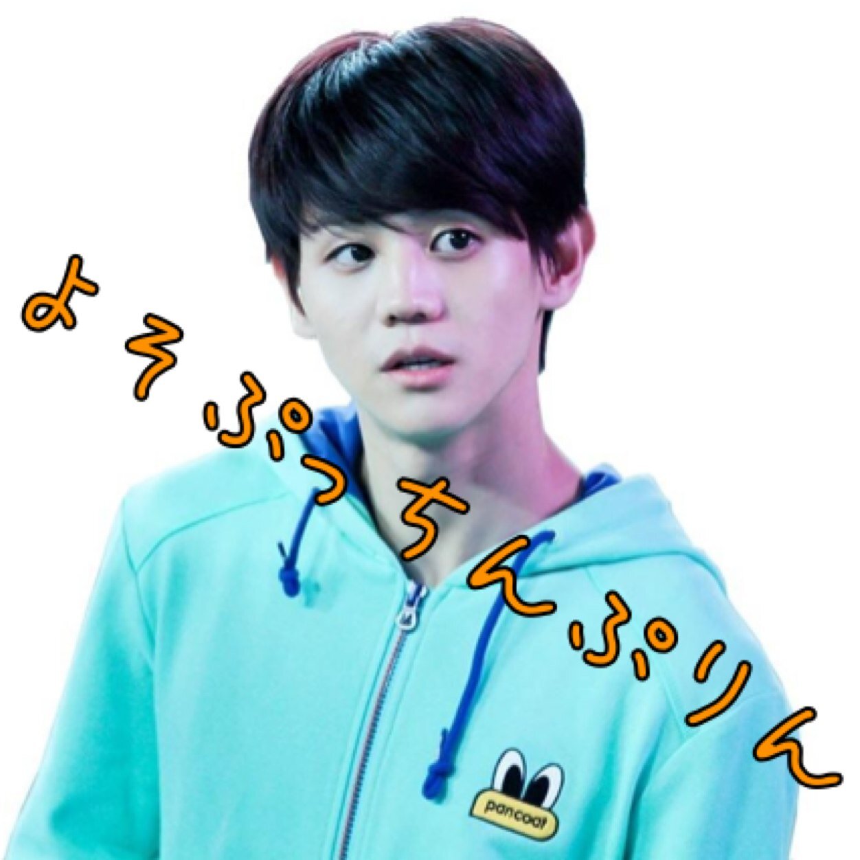よそぷっちんぷりん。雑食ペンでしかない。BEASTが原点。ミーハーかも。