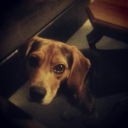 MissKilljoy273's profile picture. 