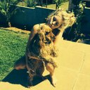 Amy McCallister - @mccallister_amy - Twitter