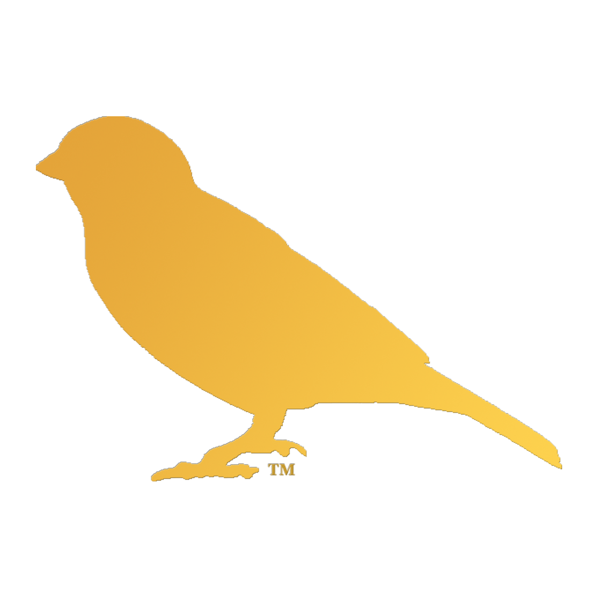 AmericasCanary Profile Picture