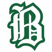 Badin Baseball Profile