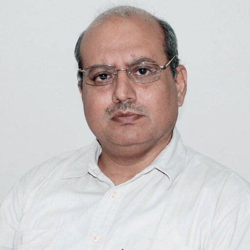 Professor in the Department of Business Economics, University of Delhi