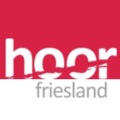 Wij willen dat het geluid van doven en slechthorenden in Friesland wordt gehoord. We zijn een kenniscentrum waar u terecht kan met vragen over hoorbeperkingen.
