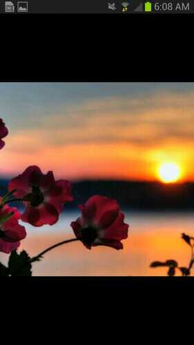 ‏‏قلـيـلٌ مـن الامـل وكثيرٌ من الـدُعاء ..
وتـستـمـر الـحيـاة ...♡