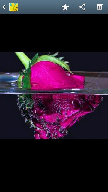 AmalYKhashoggi's profile picture. 