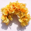 RobynStone  - @_RobynStone - Twitter