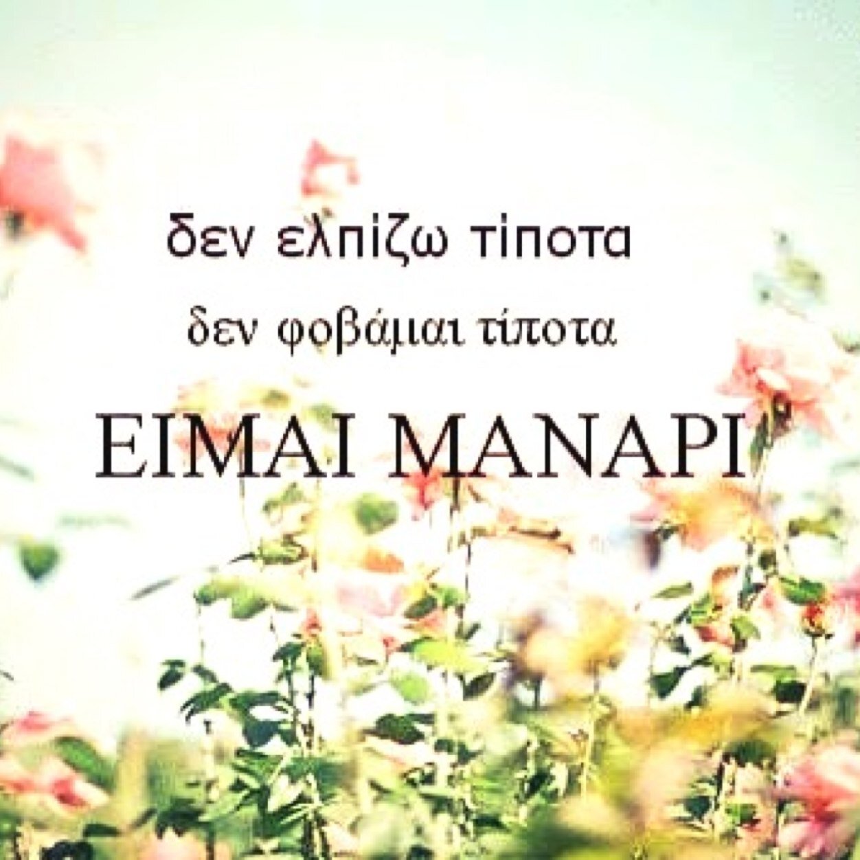 kalliopipitsa's profile picture. Προτιμώ να έχω τύψεις παρά απωθημένα.. η ζωή μου σε τάξη-λέμε τώρα!-και η καρδιά σε αταξία (επι μονίμου βάσεως όμως..)Παρόλα αυτά,δηλώνω παιδί της Άνοιξης..!