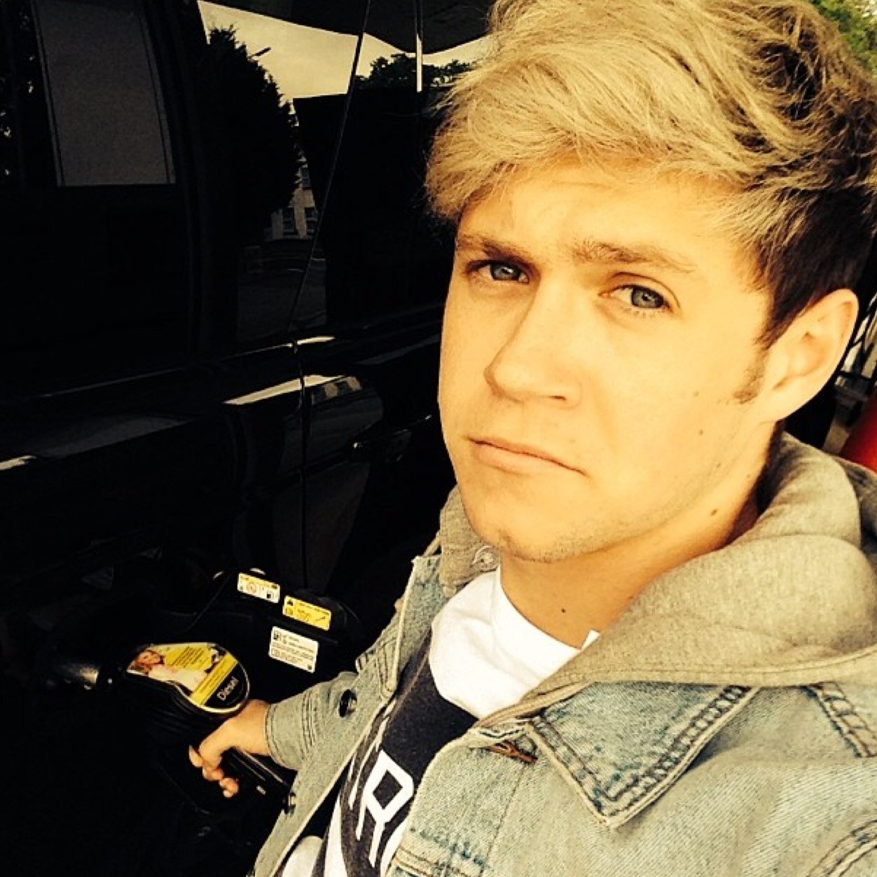 follow @snugglyyziam