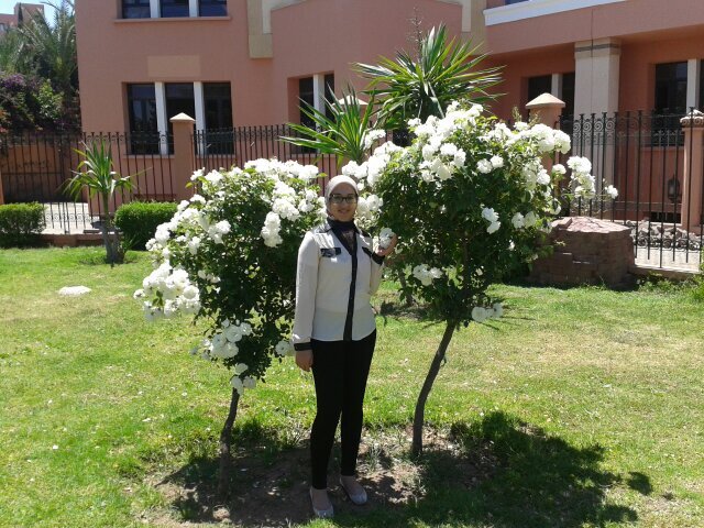 AfifMajda's profile picture. 