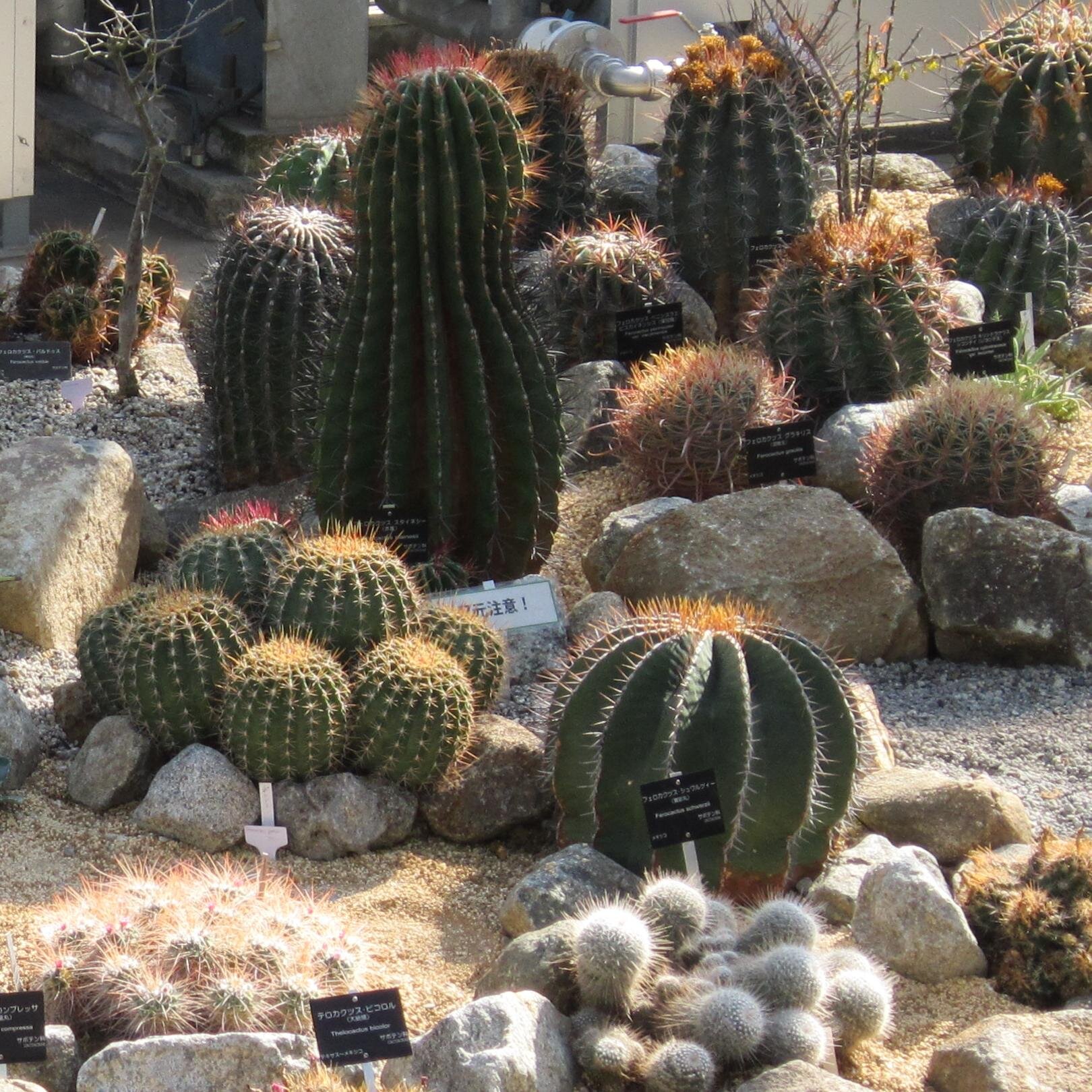 D_I776's profile picture. エンジニアっぽいことやってます